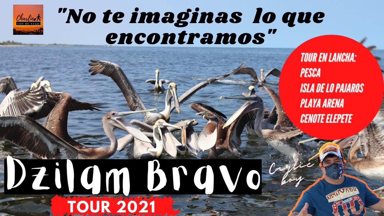 Dzilam de Bravo Yucatán -Tour en Lancha, Pesca, x-buya-ha, cenote