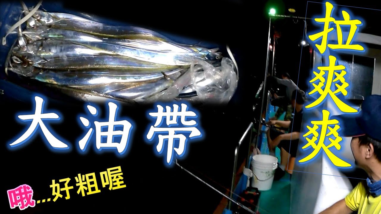 大油帶(白帶)，拉爽爽，一隻比一隻大，讚! #釣魚#白帶#油帶#船釣#fishing