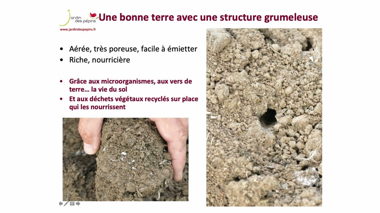 Denis Pépin - Les secrets d'une terre vivante et fertile