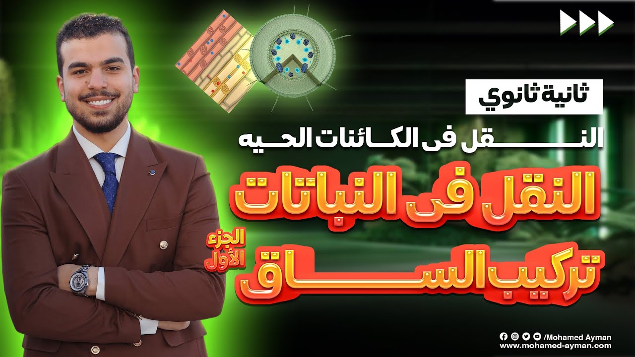 تركيب الساق 🌳 {أحياء تانيه ثانوى} المعقد سهلناه✌️😌❣️