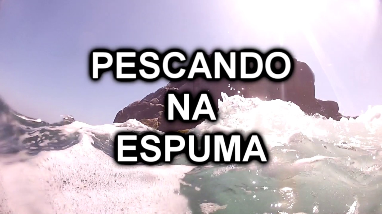 Apneia e Pesca Sub - Anchovas (na espuma) 2013