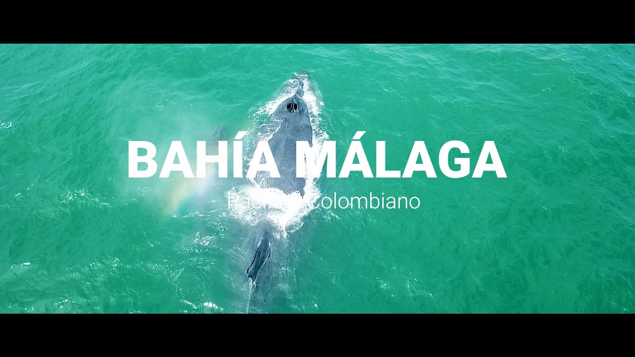 Historias de territorios (Bahía Málaga/La Barra)