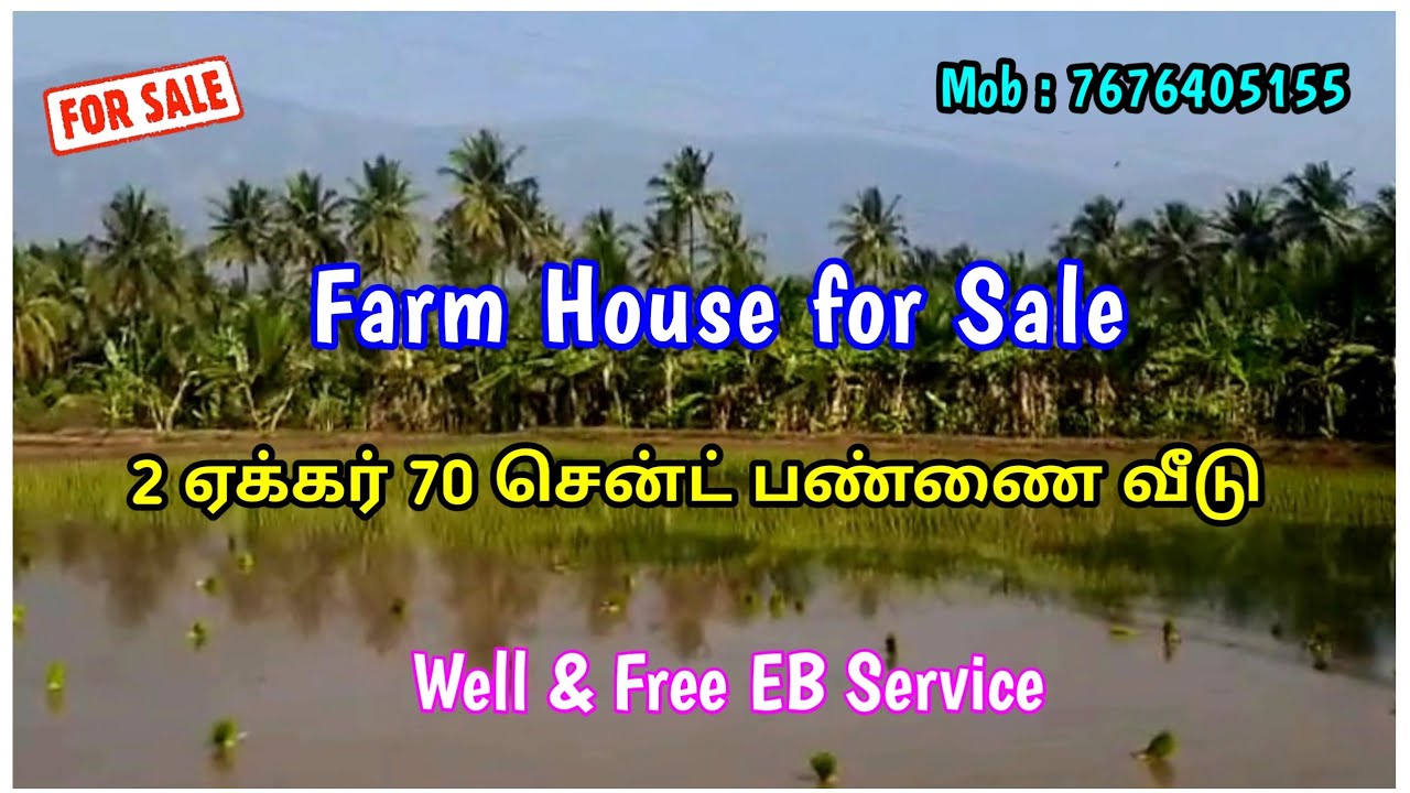 🌴🏕️ Low Budget பண்ணை வீடு | Well & Free EB Service | VTS FARM LAND.| Farm House |