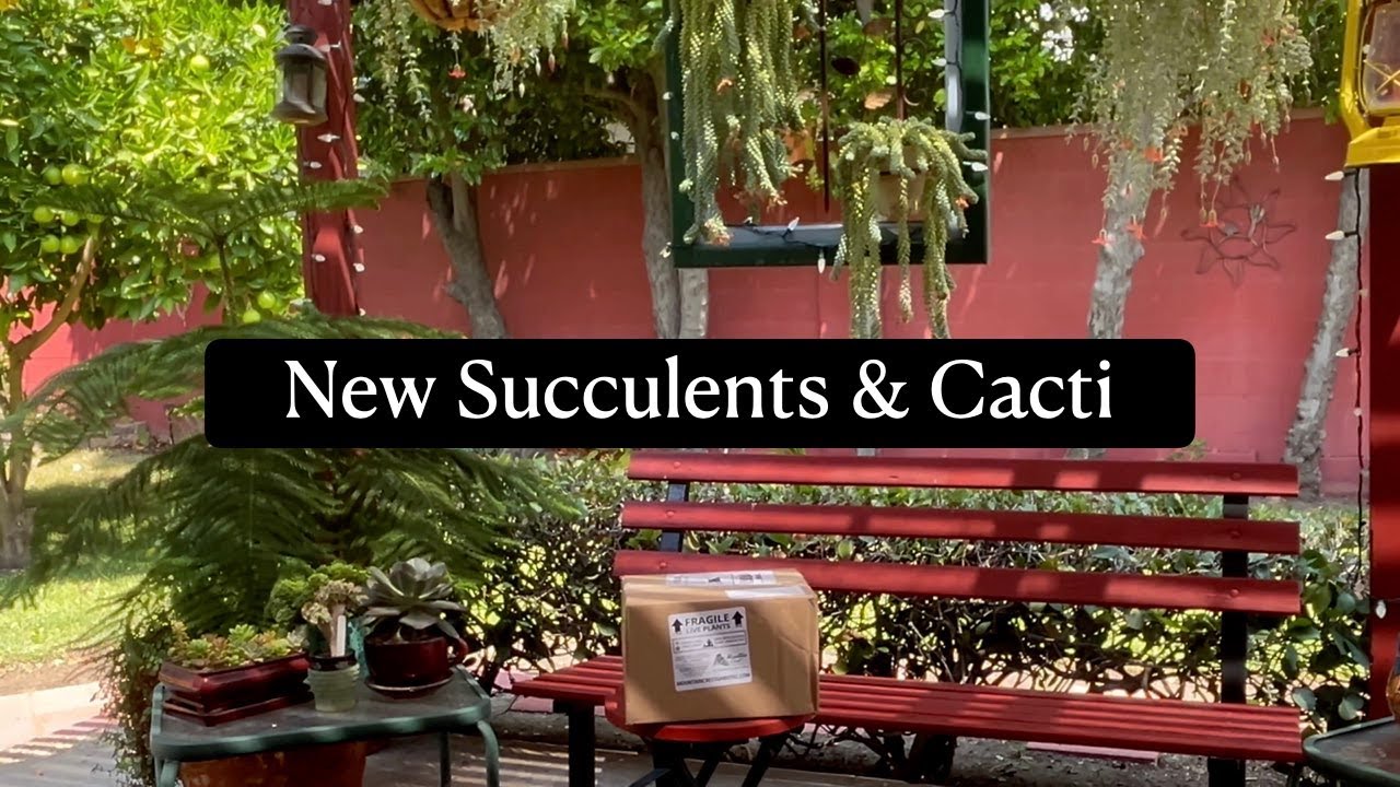 Mountain Crest Gardens Succulent Order