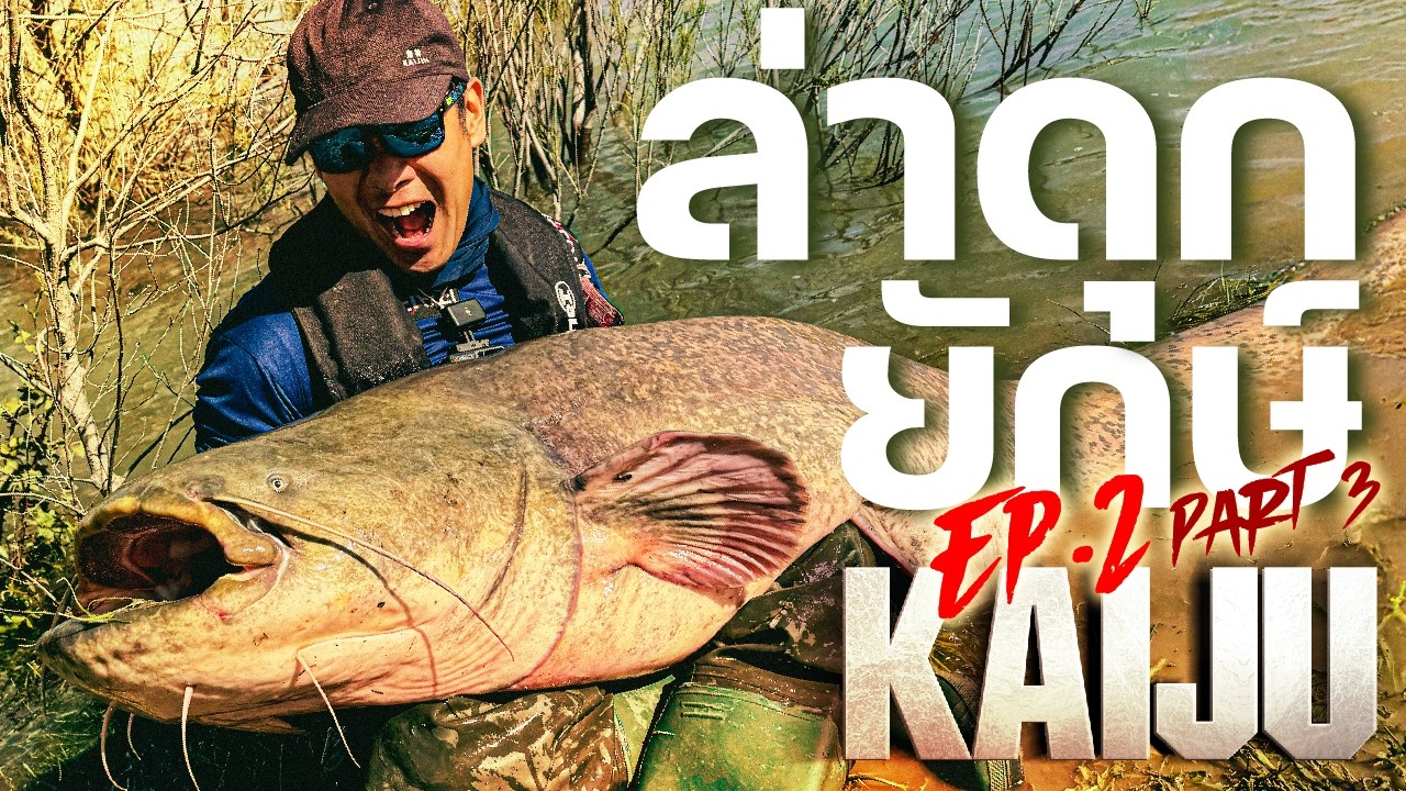 [Kaijin’s Kaiju Ep.2 Pt. 3] ตามล่าดุกยักษ์ Giant Wels Catfish ตำนานปีศาจแม่น้ำโรน, ฝรั่งเศส Part 3