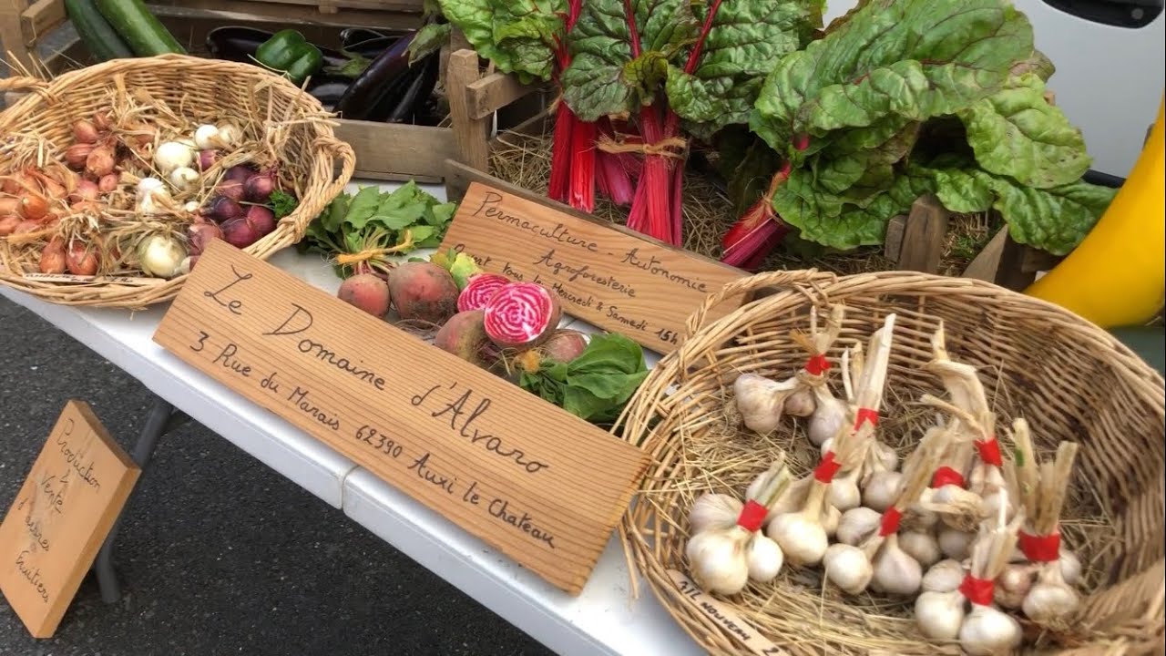 Maraîchage en Permaculture, vente au marché, comment je m’organise ?