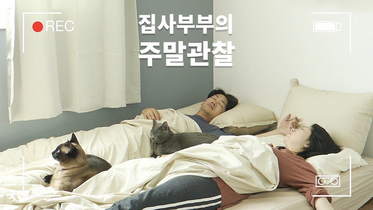 고양이 4마리 키우는 부부의 주말 관찰! (집사부부의 하루: 주말편)