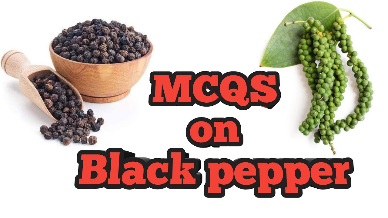 MCQS on Black pepper II MCQS on Spices II MCQS on Horticulture