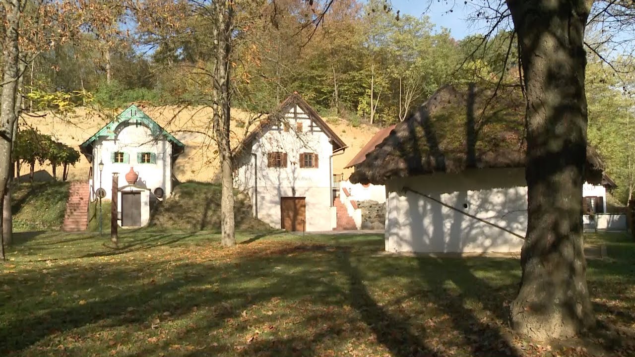 Weinmuseum Moschendorf