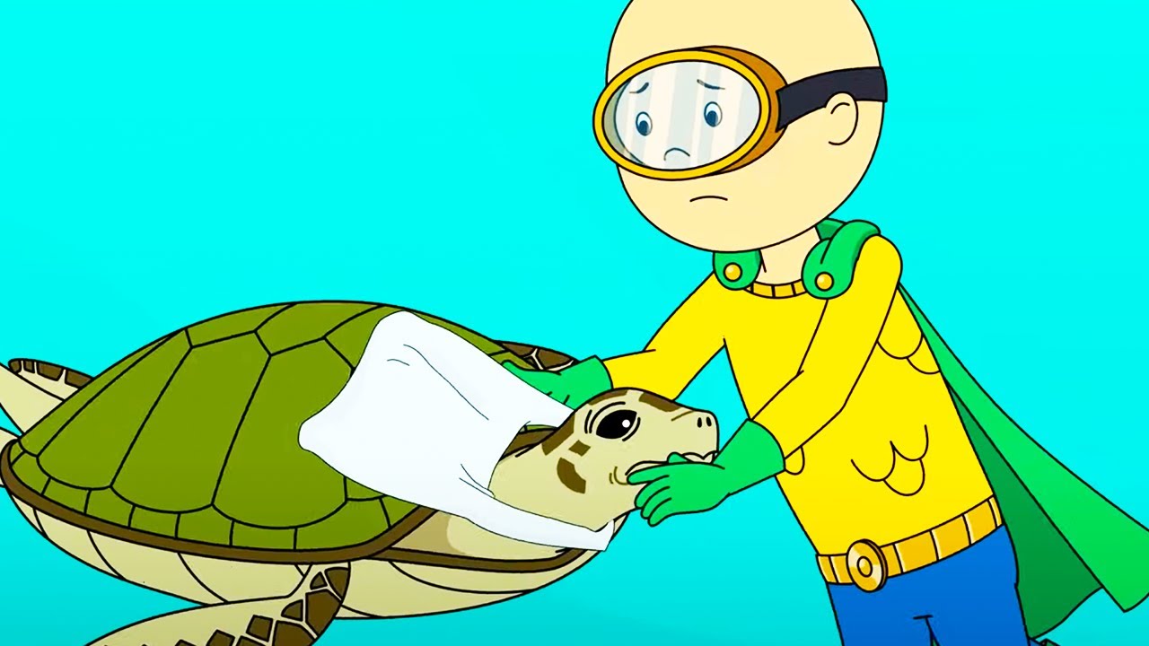 Sea Turtle Rescue | Caillou Cartoon