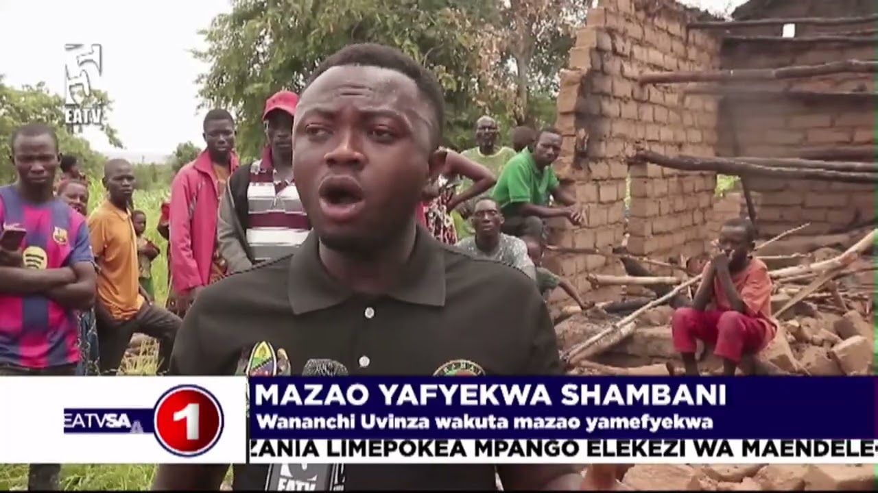 MAZAO YAFEKWA SHAMBANI KIGOMA