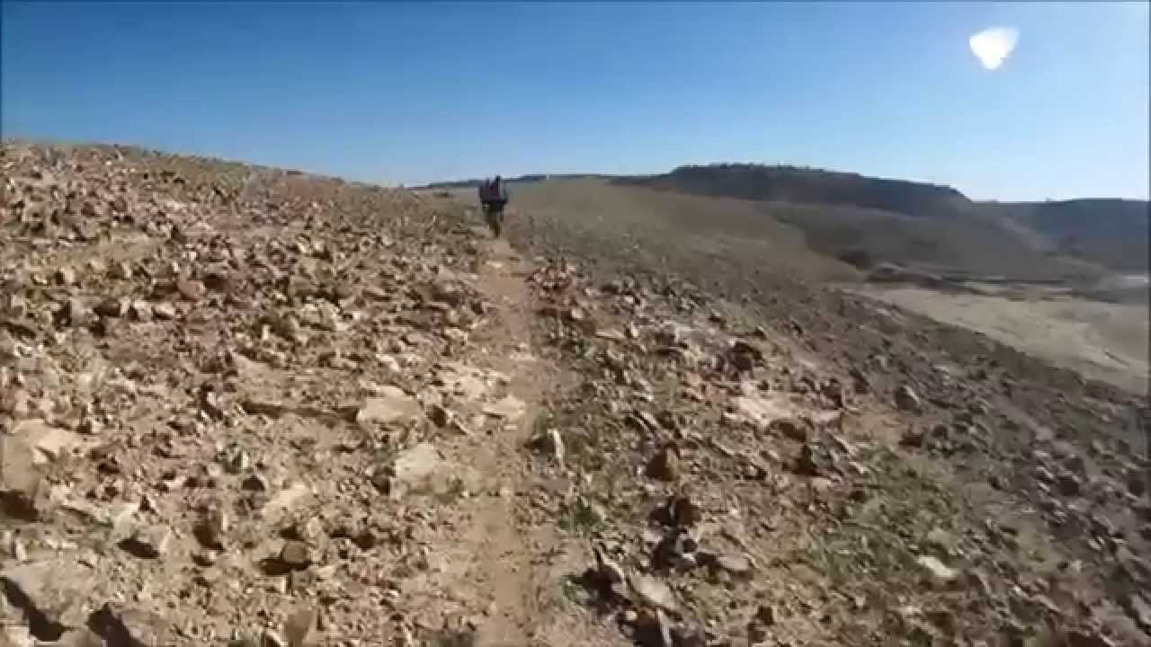 ערד   סינגל רחמים