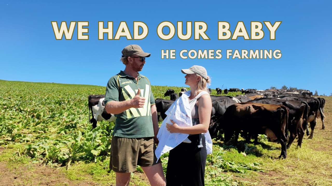 Farmers Wife - Day In The Life, New Zealand
