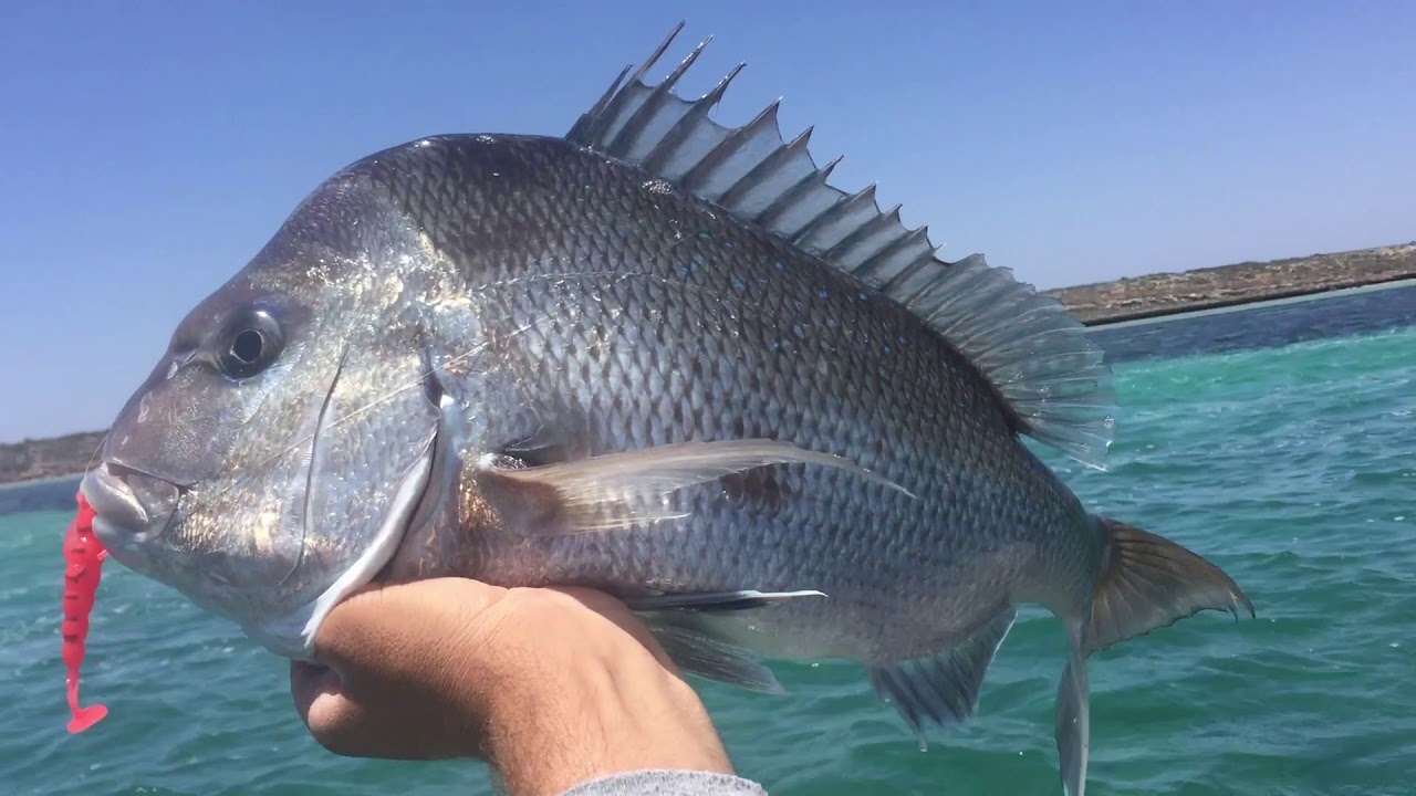 KAYAK FISHING!! 