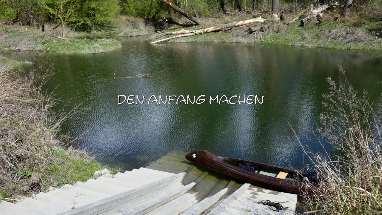 Auwald
