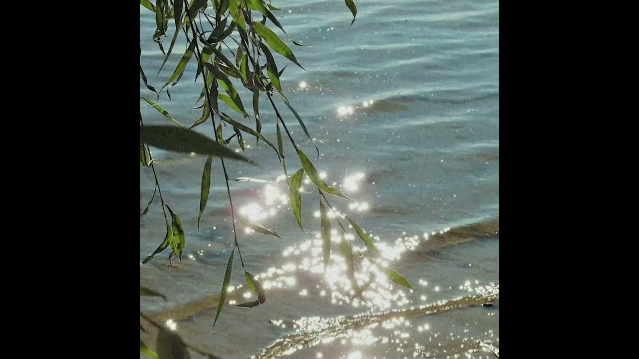 (free) honnoj + botanica type beat 