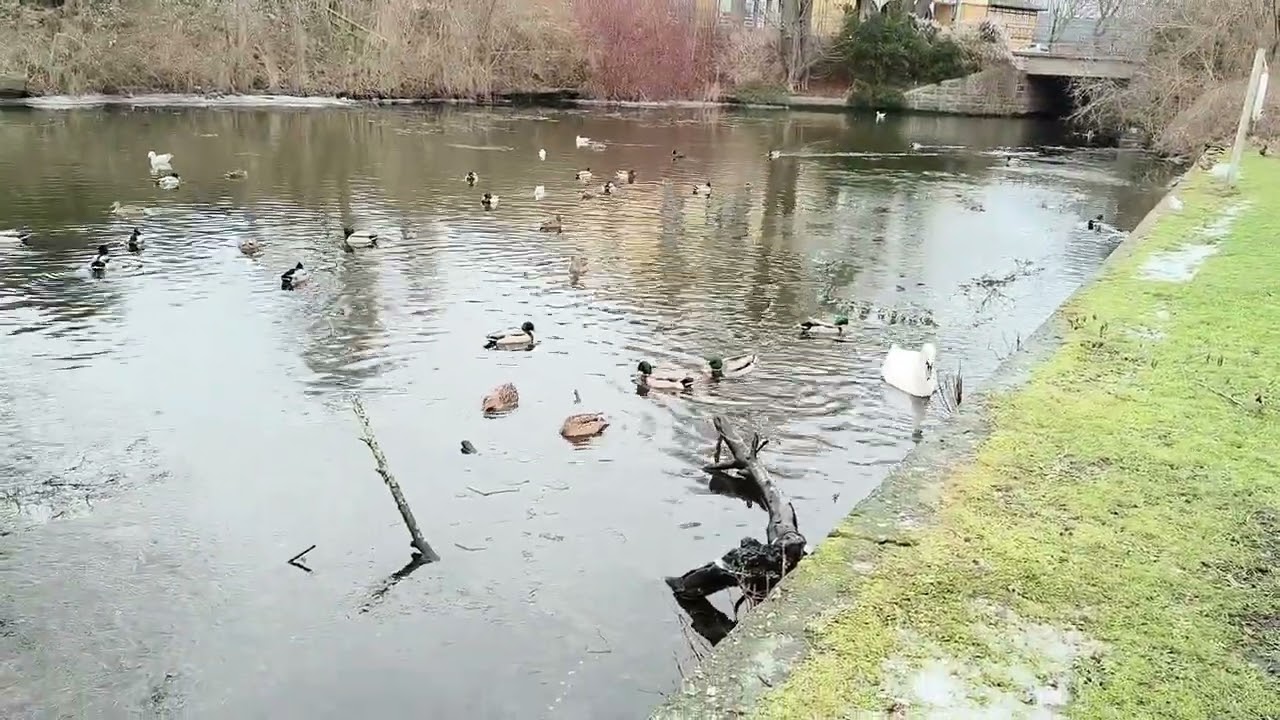 Nyborg, Danmark сегодня 😉
