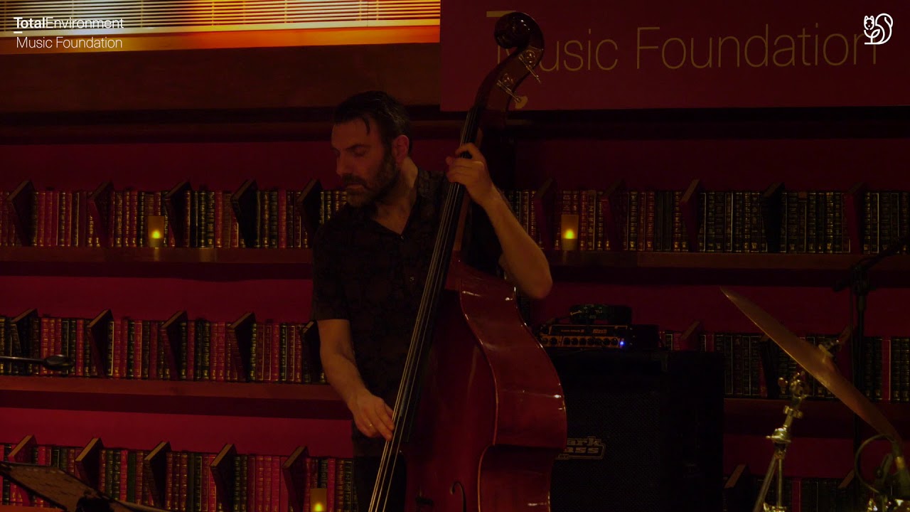 Gamut Warning | Helge Lien Trio | Total Environment Music Foundation