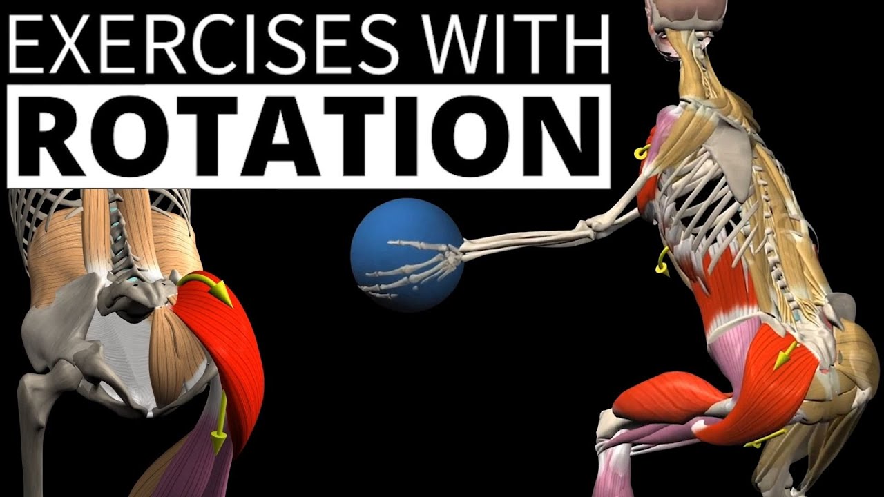 3 ROTATIONAL EXERCISES