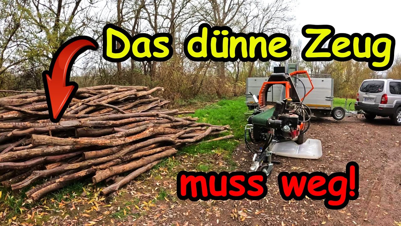 Was mache ich nur mit den Zahnstochern?