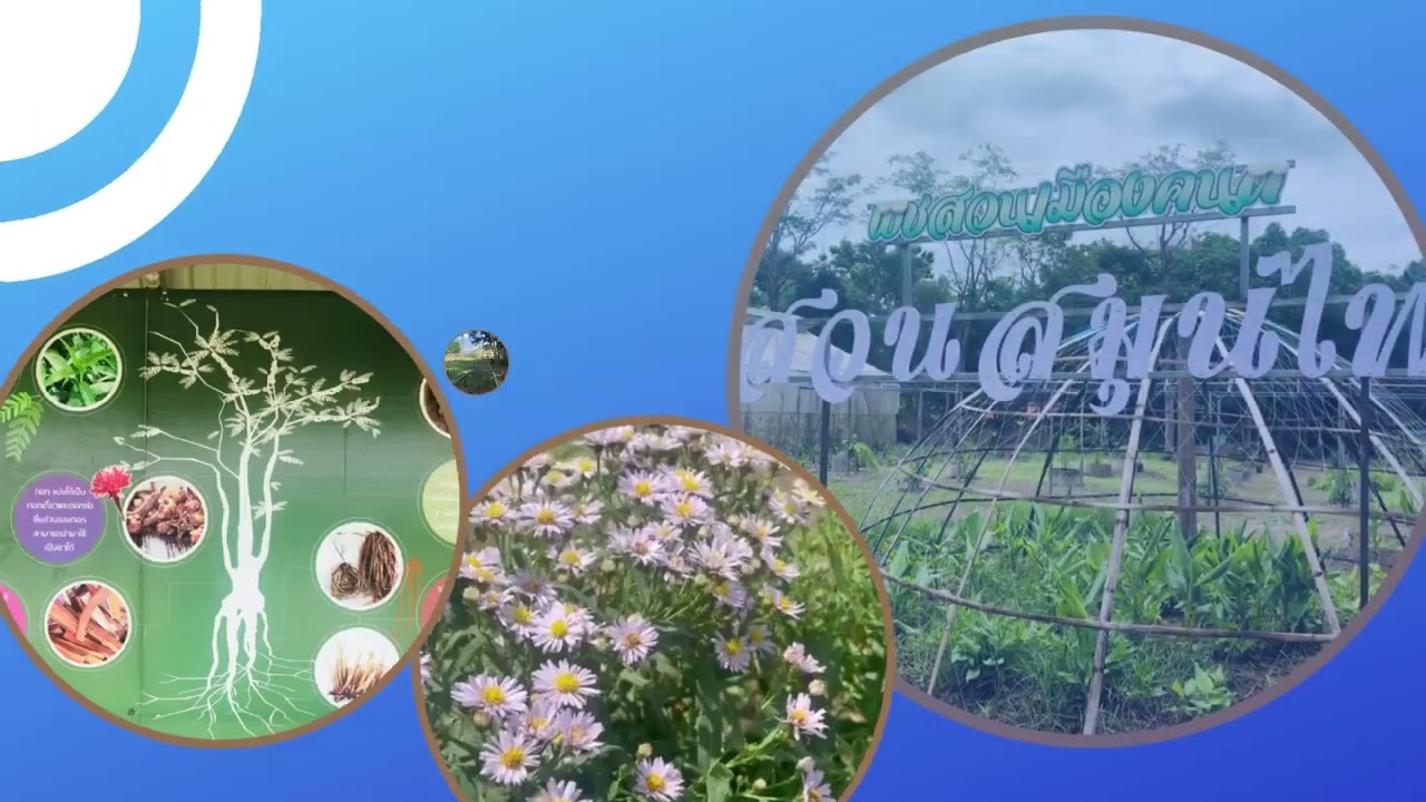 ศูนย์ส่งเสริมและพัฒนาอาชีพการเกษตรจังหวัดสุราษฎร์ธานี
