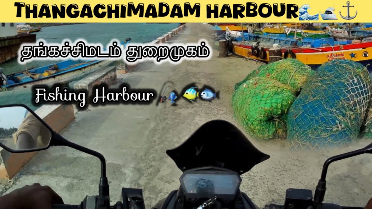 தங்கச்சிமடம் துறைமுகம்🌊🛥️⚓️Fishing Harbour🎣 🐟