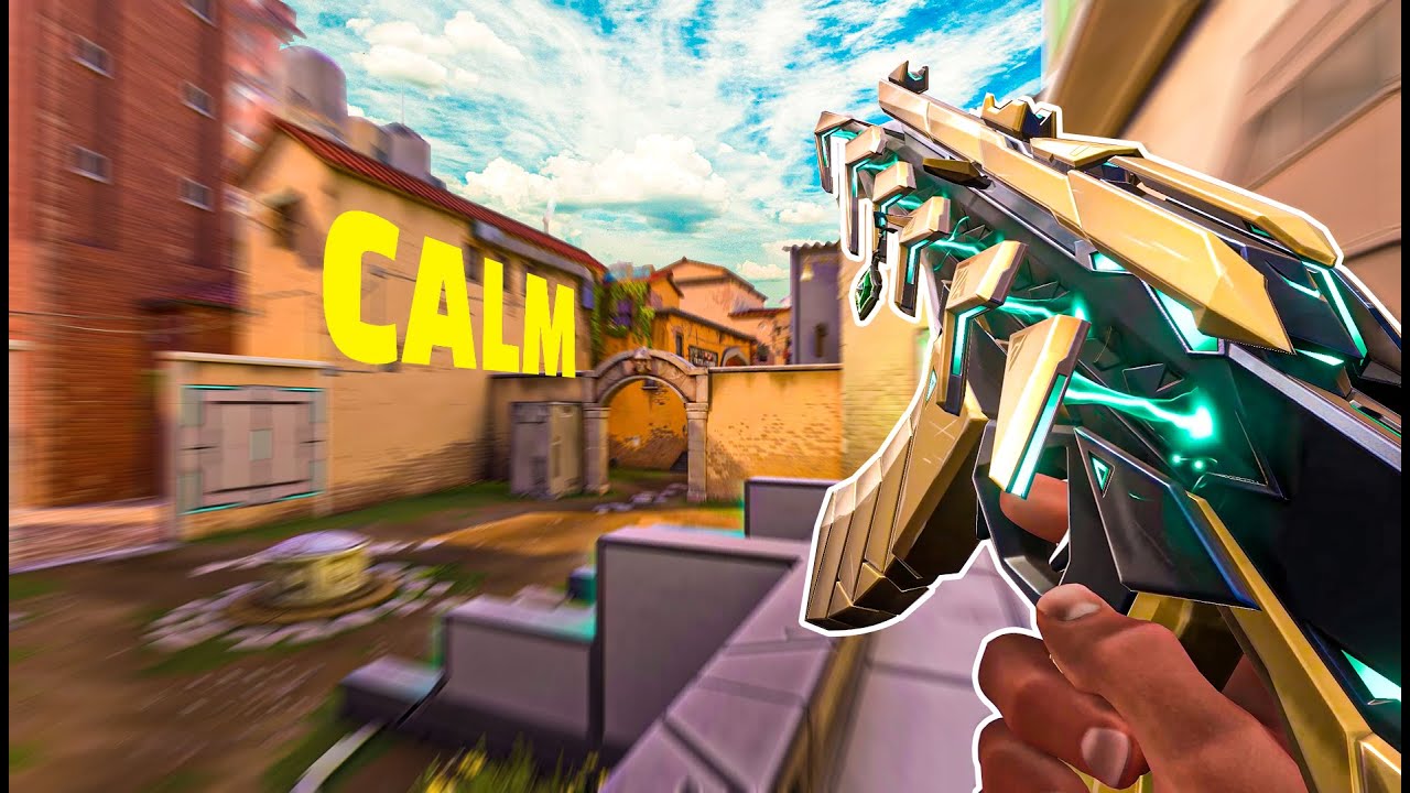 POV : You Mastered Calm Aim