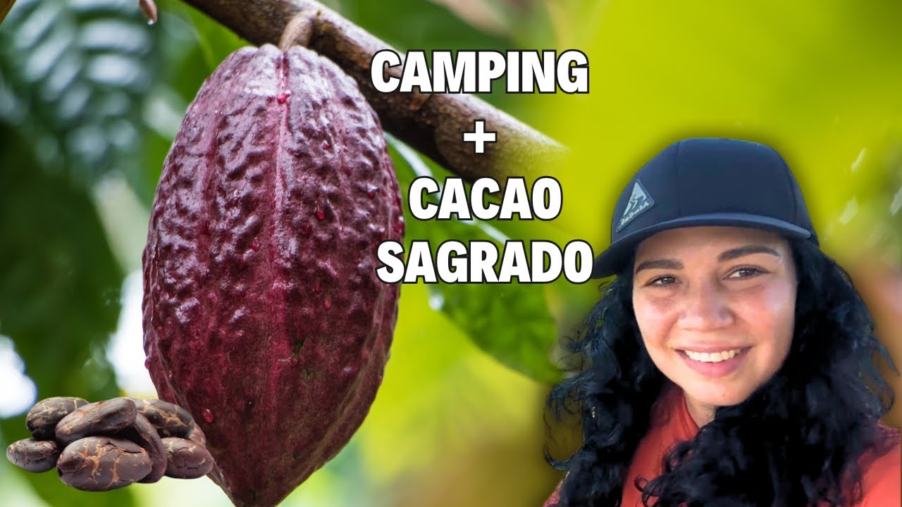 Cacao Sagrado en Puerto Rico | Historia Ancestral y Camping en Finca Monte Bahía Añasco