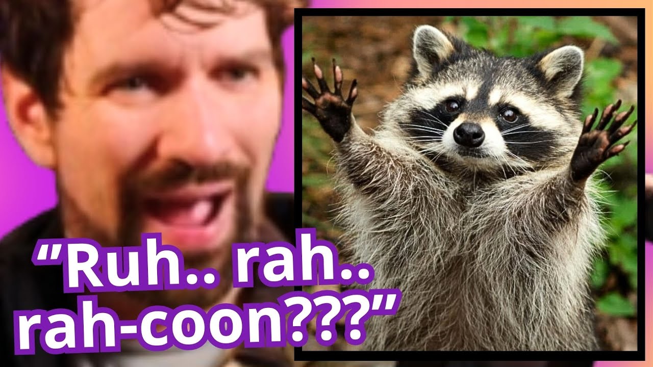 Destiny Laughed At By Chat For Raccoon Pronunciation