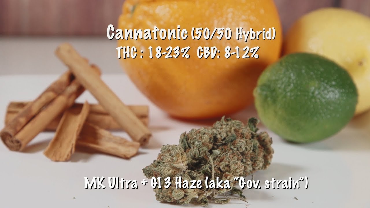 Strain Review Cannatonic (Hybrid)