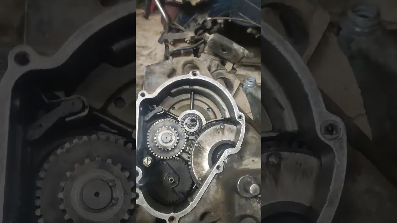 فسبا صباب /نصائح مهمه وضبط تقسيمه كتينه وعمره الفسبا الصبابات