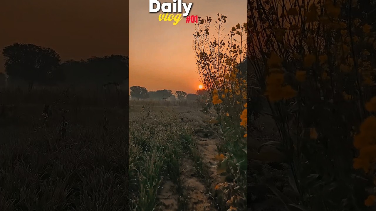 daily mini vlog ❤️| village life style vlog 