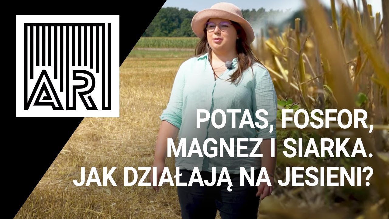 Potas, fosfor, magnez i siarka. Jak działają na jesieni? || AR #125