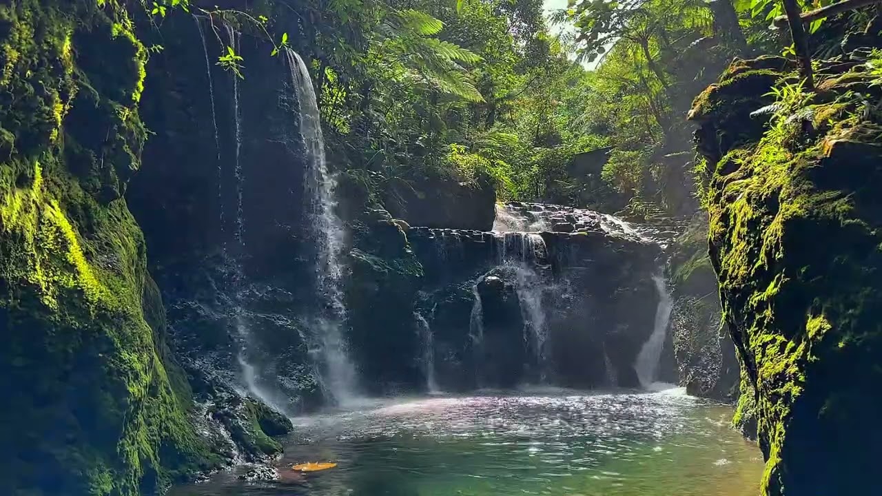 Listen to Nature | Beautiful Natural Sounds for Deep Relaxation