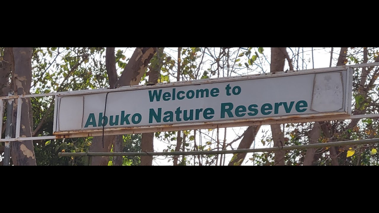 Discovering Abuko Nature Reserve