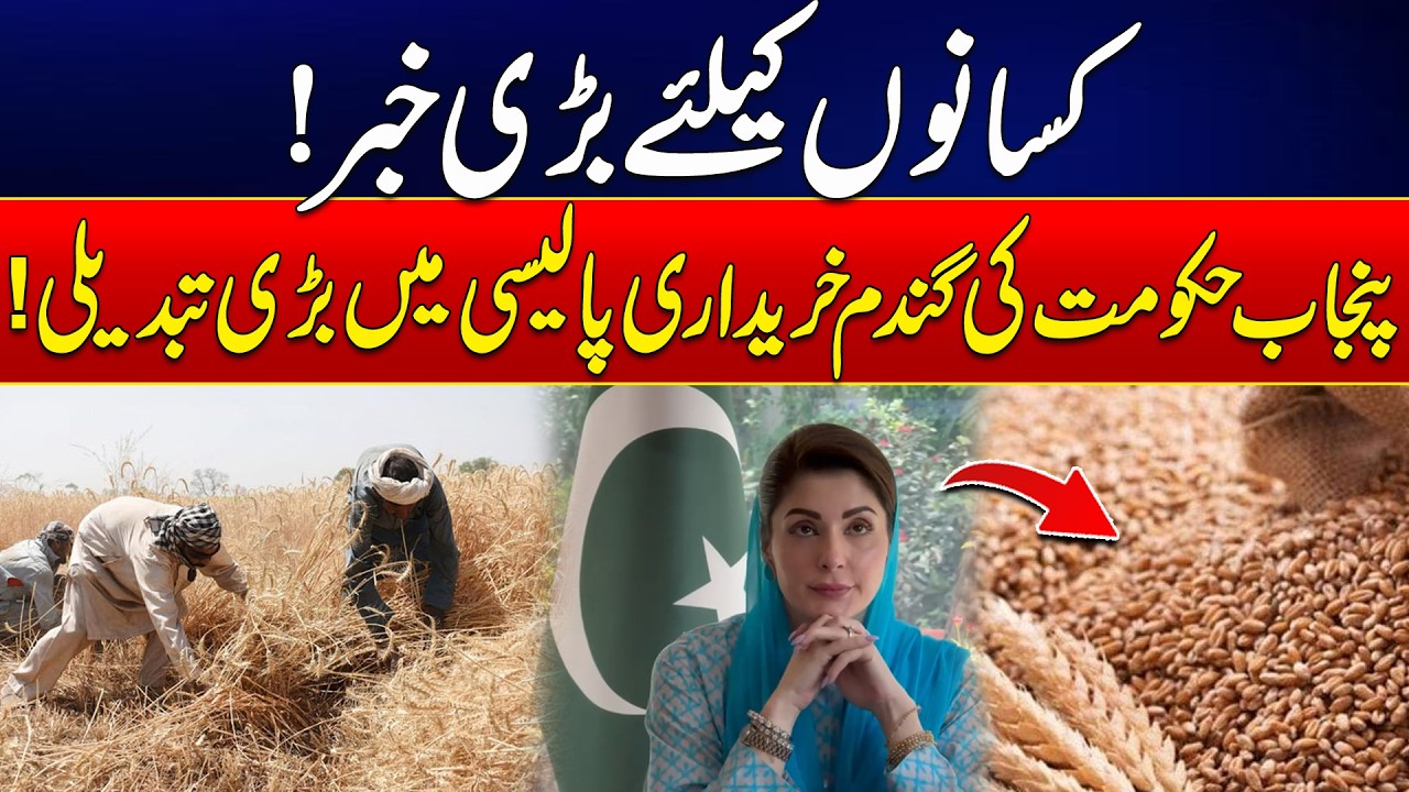 Big News for Farmers! Punjab Government Changes Wheat Procurement Policy | Latest Updates | Rohi