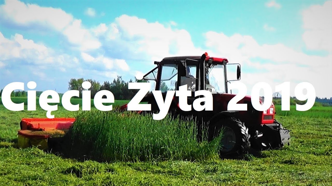 ☆Żyto na kiszonkę 2019☆ !Żniwa 2019 przyszły wcześniej!/ Pottinger NovaCat 305H / Belarus 952.5