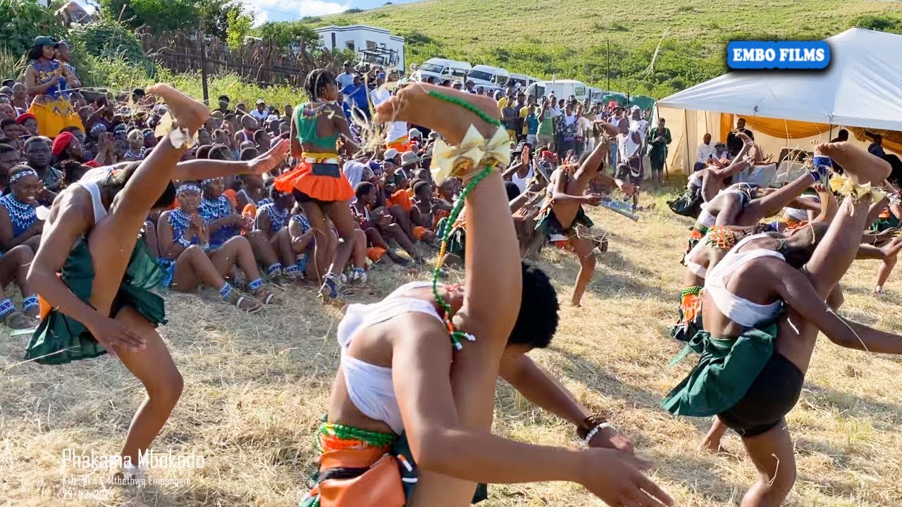 TEAM ORANGE | PHAKAMA MBOKODO 