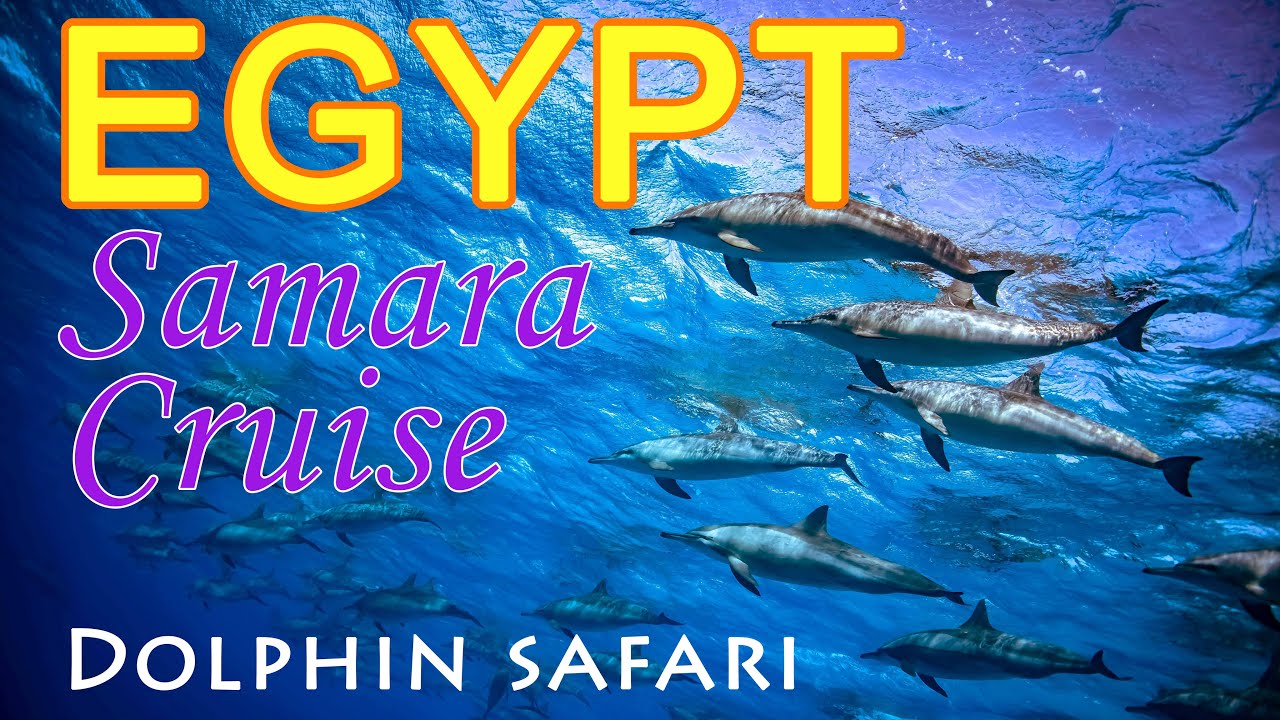 Egypt May 2025 Samara Cruise Safari boat with Freedive Praha