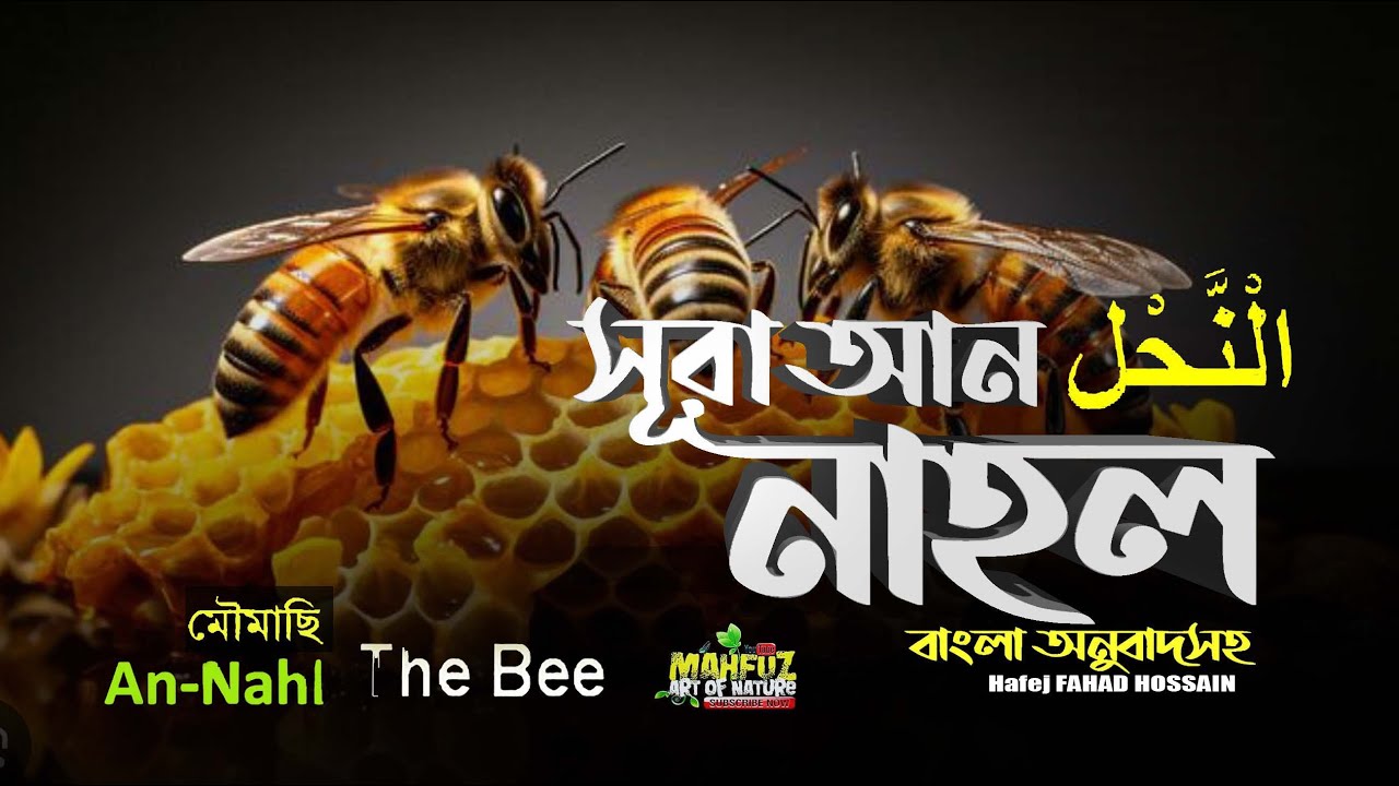 সূরা আন-নাহল Surah An Nahl bee   سورة النحل অনুবাদ ❤  Hafej FAHAD HOSSAIN   ▶mahfuz art of nature