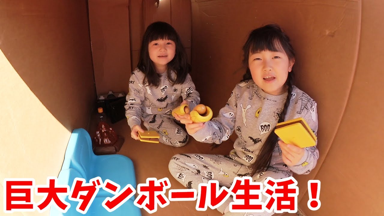 【撮影の裏】新車購入！バービーキャンピングカーを組み立てる時に子供はダンボール生活？ - はねまりチャンネル