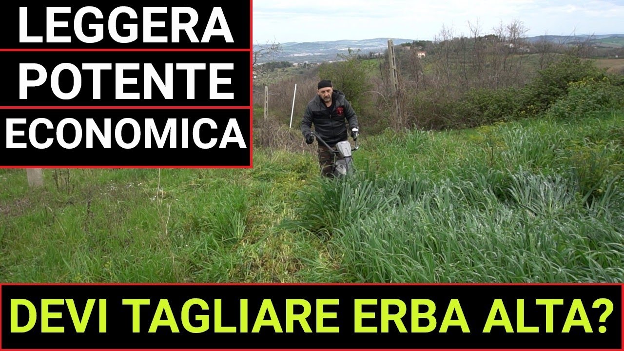 Devi tagliare erba alta? Test della motofalciatrice Blackstone SM 65-880 con barra da 88cm!