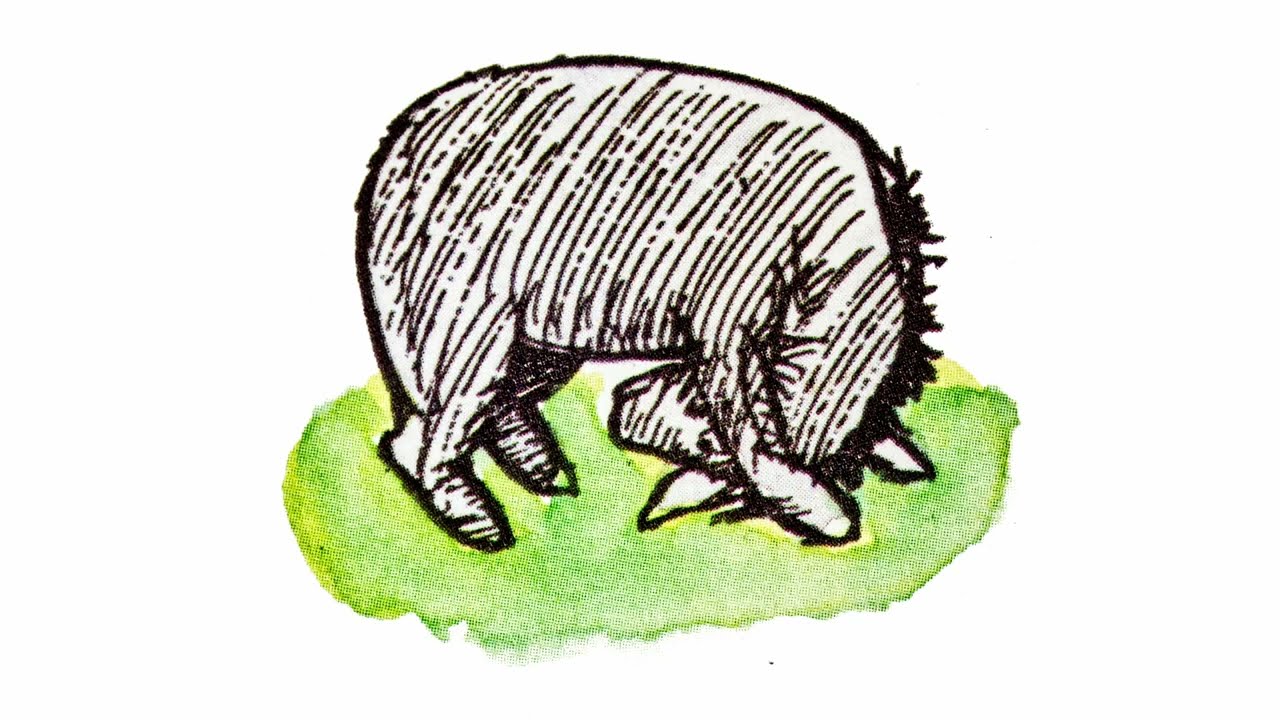 Chapter 4 where Eeyore loses a tail and Winnie-the-Pooh finds one.