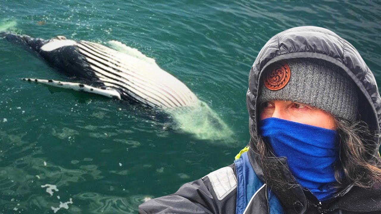 We Explored the Town that KILLED ALL the WHALES!