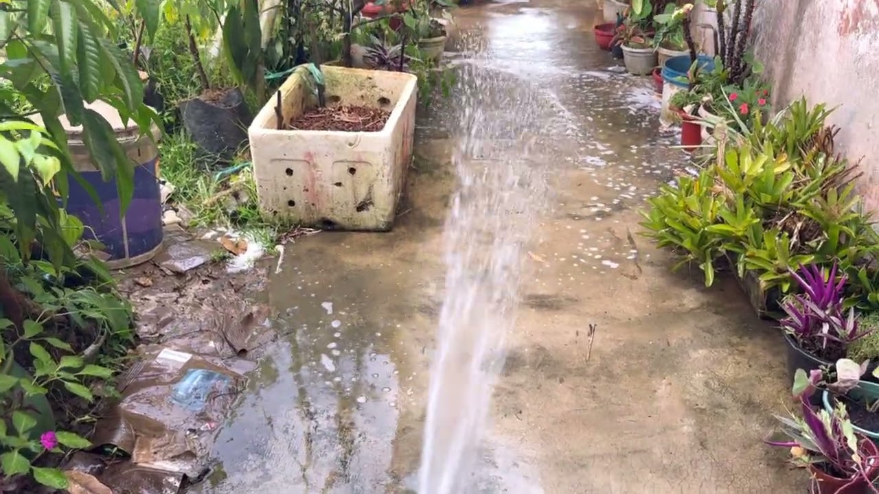 PEMBANTU UNTUK MERINGANKAN KERJA PARA IBU| BERUS DAWAI BOLEH LARAS