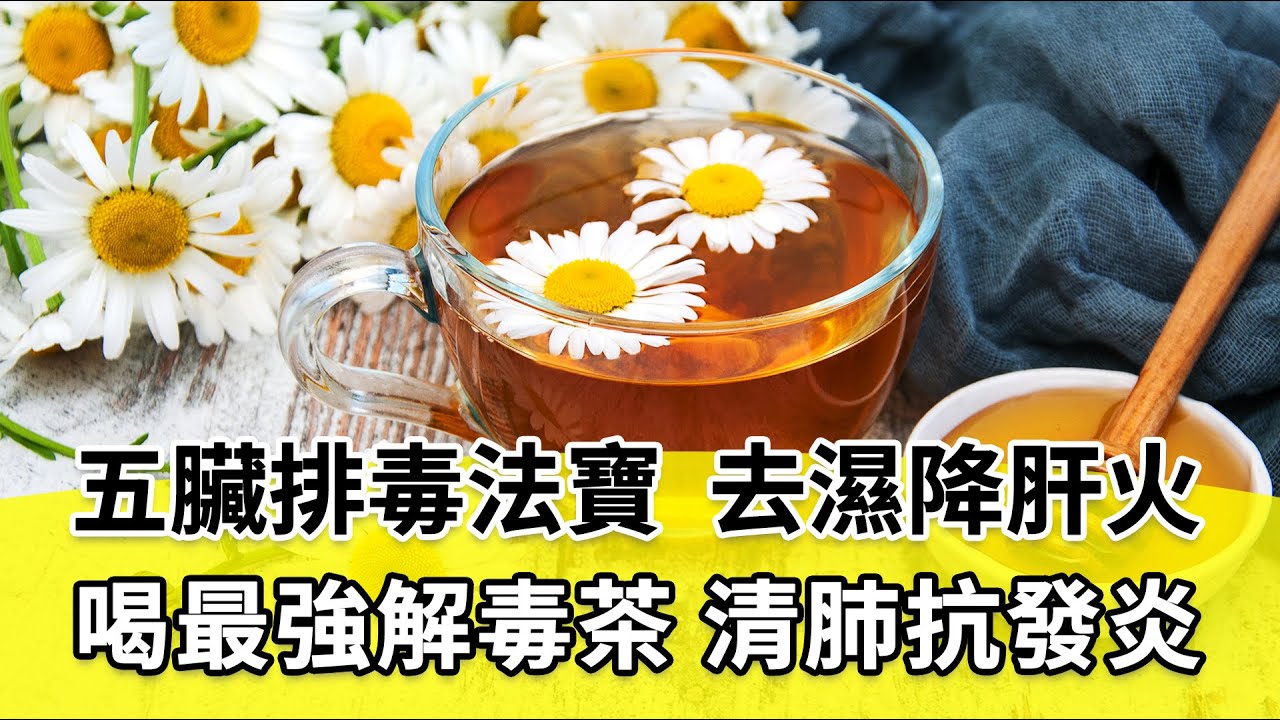 幫五臟排毒素！蒲公英玫瑰茶和2類食物，解鬱清肝毒！綠豆「這樣煮」解毒效果最優。心臟亂跳、嘴破？「1茶」保護心藏。解毒No.1是這2味｜莊雅惠 醫師｜480