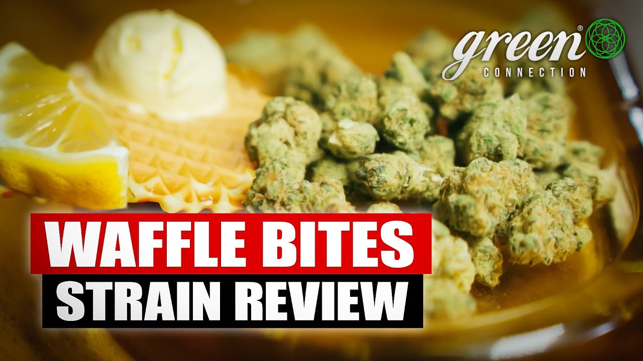 Canadian Cannabis | Waffle Bites Review | Strain Review SOUR OG X CAKE