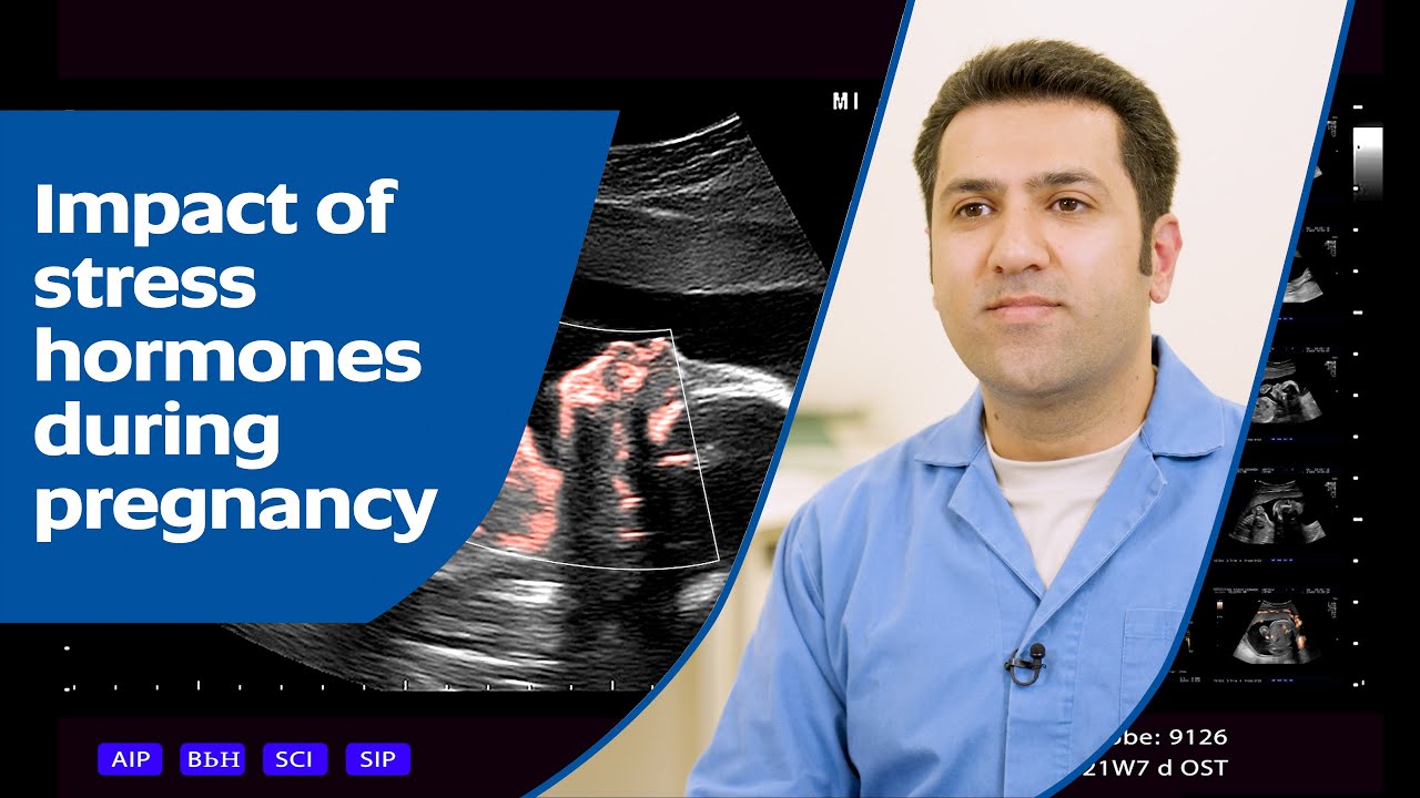 Impact of stress hormones during pregnancy
