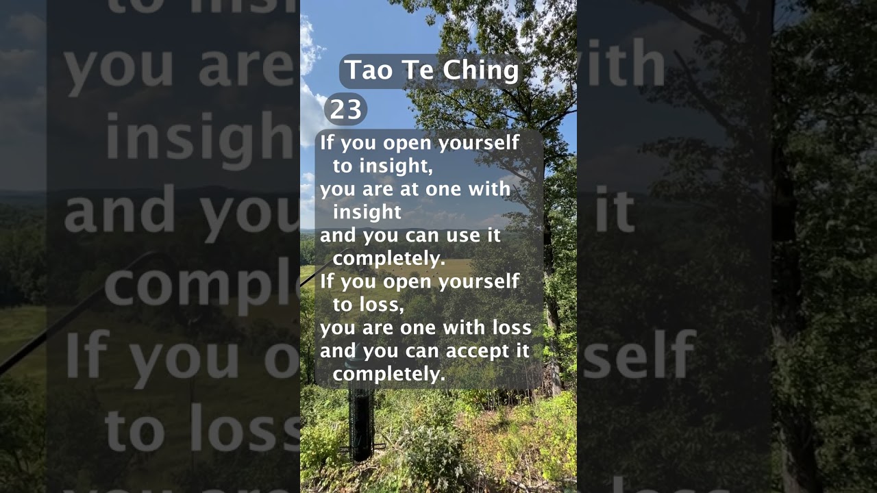 Tao Te Ching 23 -  Lao-tzu - Taoism - The Book of the Way and of Virtue - book in description