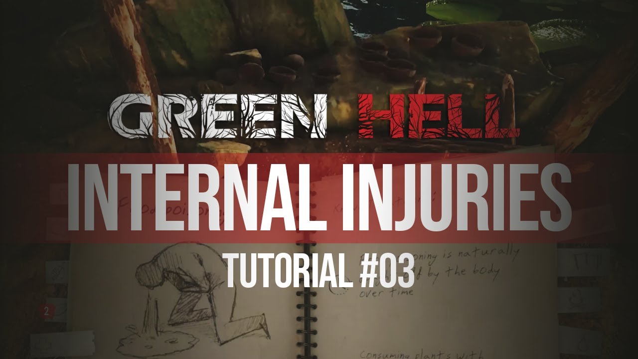 Учебник Green Hell №03 — Внутренние травмы
